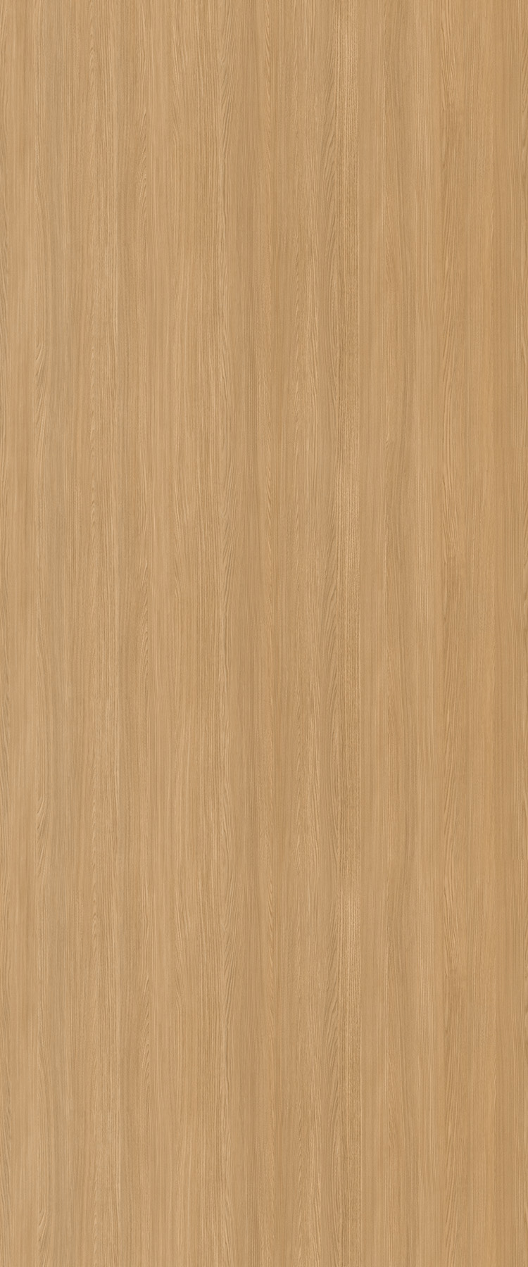 Aged Ash 8844 look laminate sample